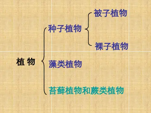 苏科版生物七下《地面上的植物》ppt课件