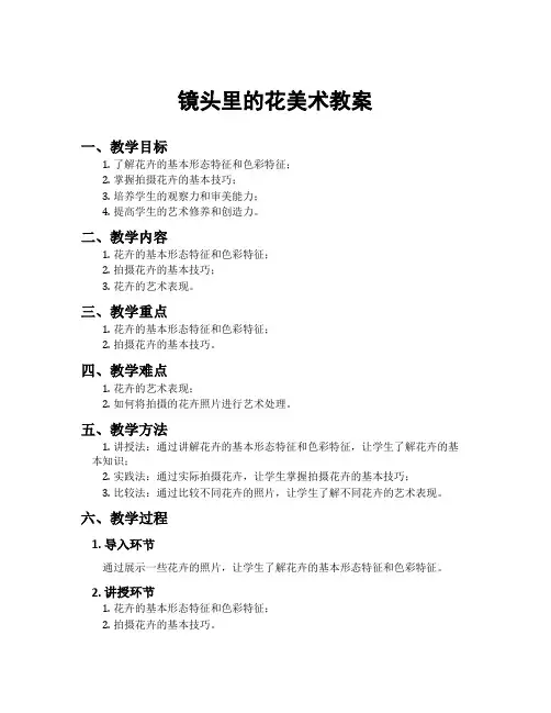 镜头里的花美术教案