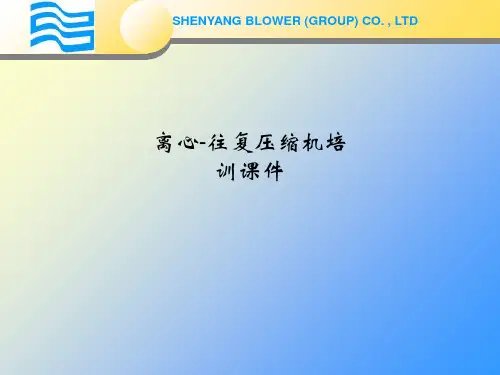 离心-往复压缩机培训课件