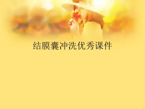 结膜囊冲洗优秀课件
