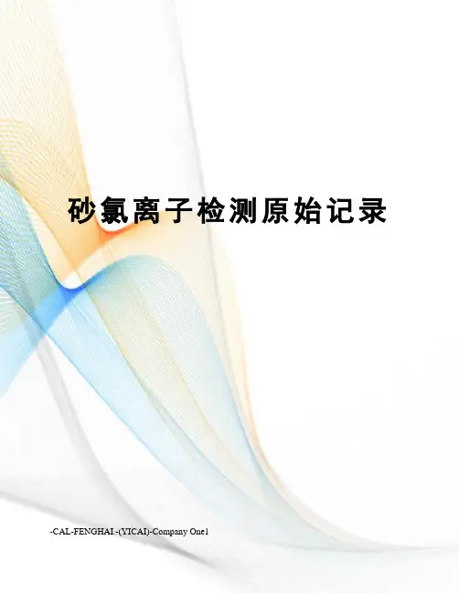 砂氯离子检测原始记录