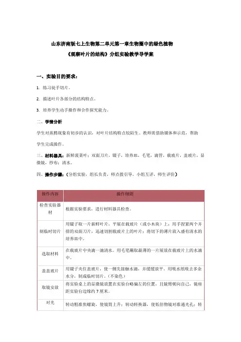 2.1.2观察叶片结构实验教学导学案2022--2023学年济南版生物七年级上册