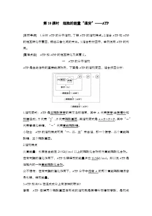 最新精编高中人教版必修一高中生物提升习题5.2细胞的能量“通货”——ATP及解析