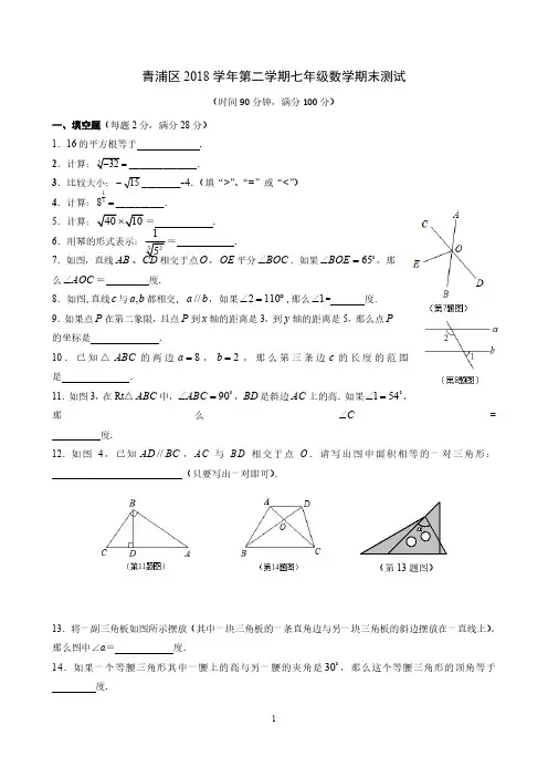 上海市青浦区2018-2019学年第二学期七年级数学期末试卷(PDF版)