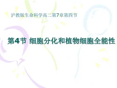 2017沪科版高中生命科学第二册7.4《细胞分化和植物细胞的全能性》ppt课件2