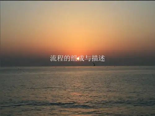 流程的组成与描述