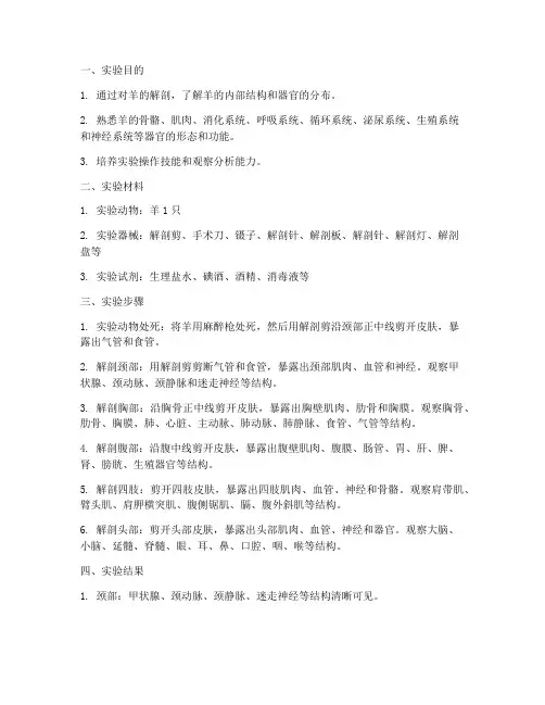 羊的剖解实验报告