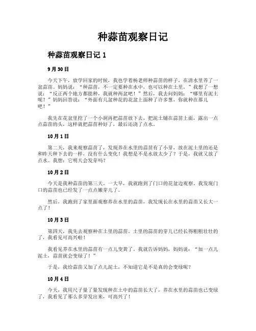 种蒜苗观察日记
