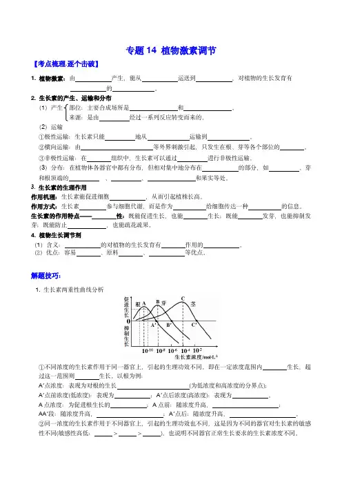 2024年高考生物必备知识大串讲：专题14 植物激素调节(原卷版)