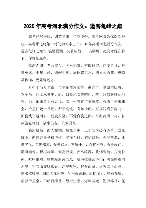 2020年高考河北满分作文：邀客龟峰之巅