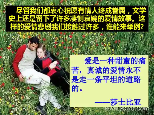 《罗密欧与朱丽叶》PPT课件