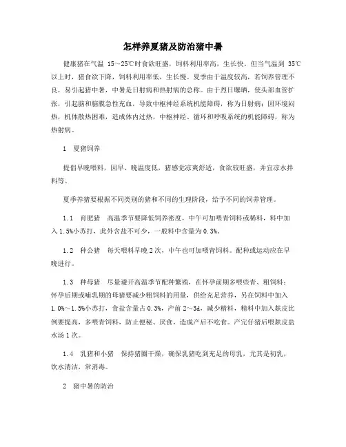 怎样养夏猪及防治猪中暑