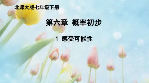 北师大版七年级数学下册感受可能性课件