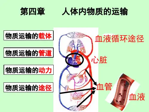 (完整)物质运输的途径精品PPT资料精品PPT资料