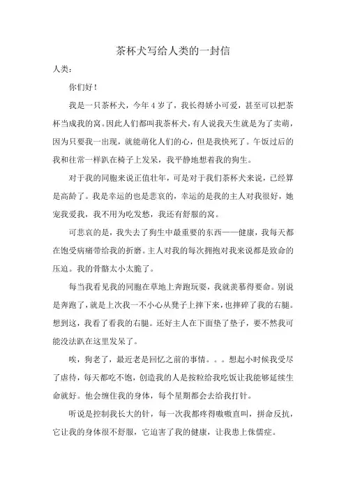 茶杯犬写给人类的一封信
