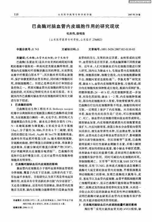 巴曲酶对脑血管内皮细胞作用的研究现状
