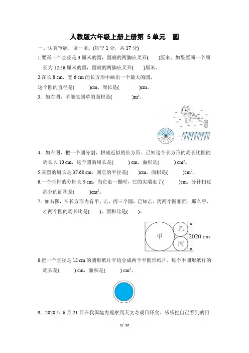 人教版六年级上册上册第5单元 圆 专项试卷附答案