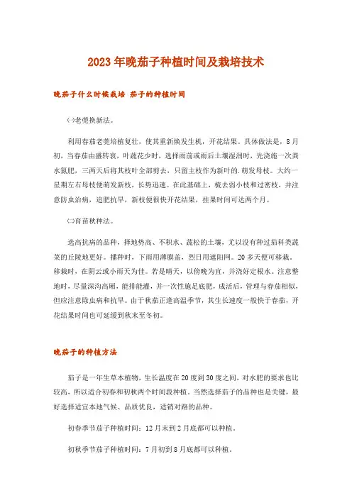 2023年杂谈_晚茄子种植时间及栽培技术