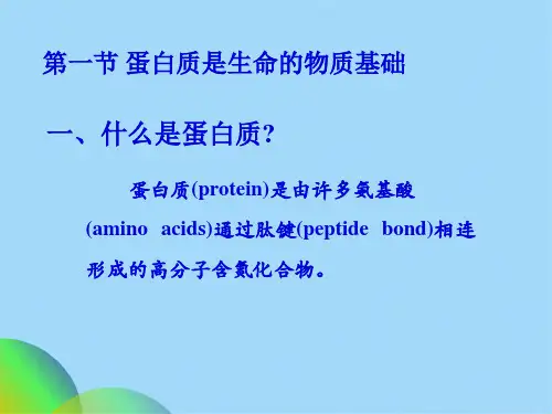 生物化学课件之蛋白质(共119张PPT)