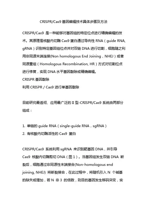 CRISPR及Cas9基因编辑技术具体步骤及方法