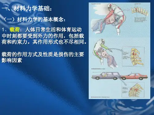 材料力学、骨的生物力学