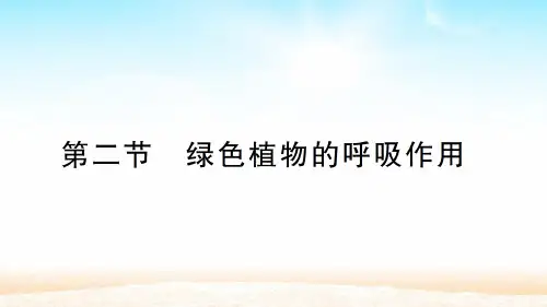人教版七年级生物上册 第三单元 第五章 第二节 绿色植物的呼吸作用