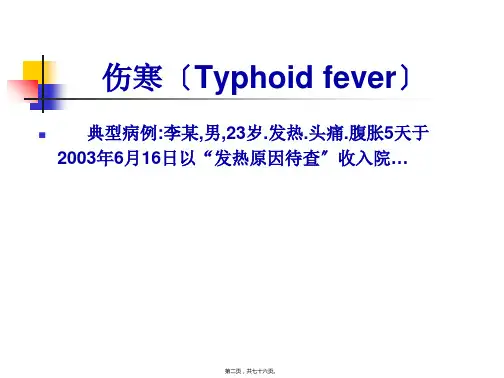 伤寒与副伤寒