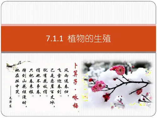人教版八年级下册7.1.1 植物的生殖课件(共24张PPT)