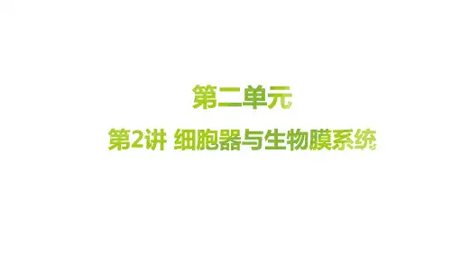 高考一轮复习《细胞器与生物膜系统》课件(共43张PPT)