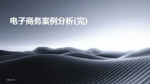 2024版电子商务案例分析(完)