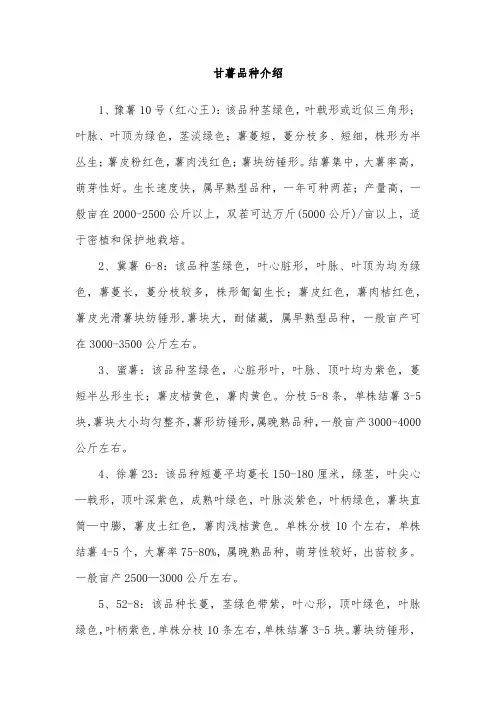 甘薯品种介绍