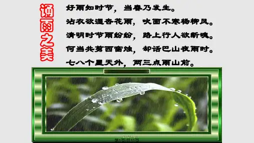 雨之歌PPT课件