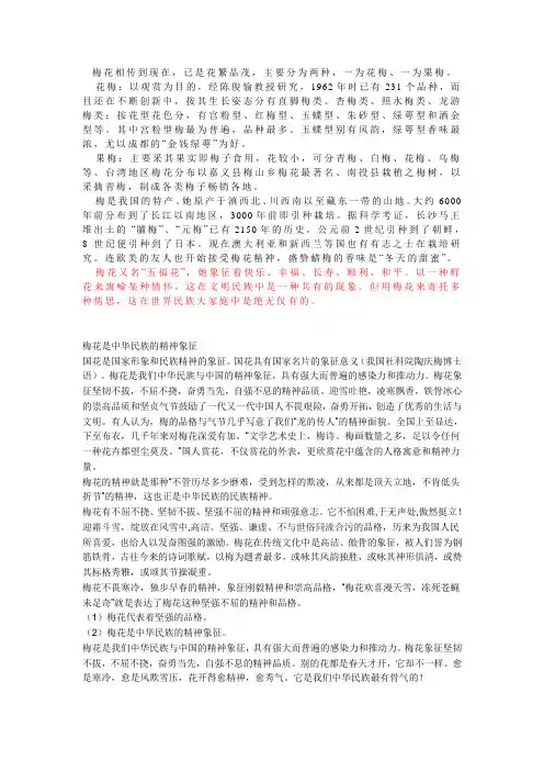 梅花精神