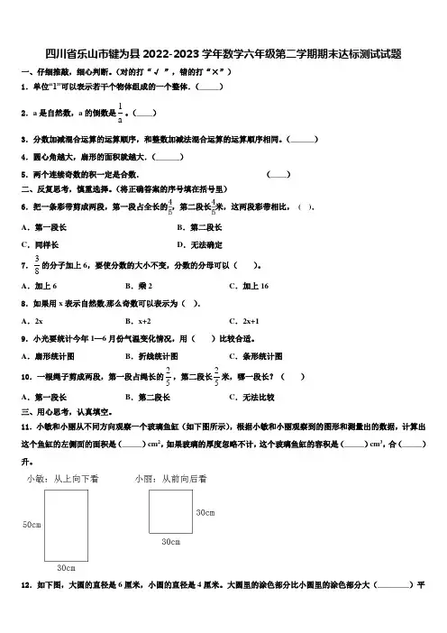 四川省乐山市犍为县2022-2023学年数学六年级第二学期期末达标测试试题含解析