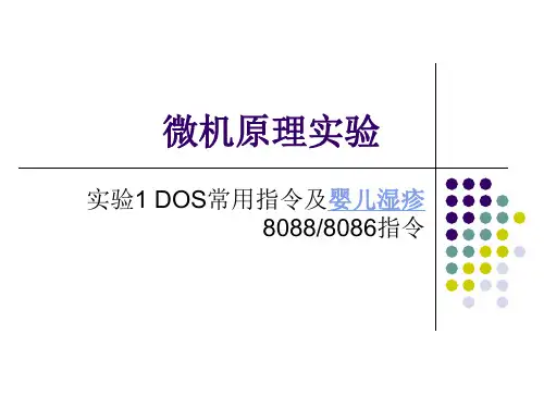 实验1DOS常用命令及8088、86指令使用