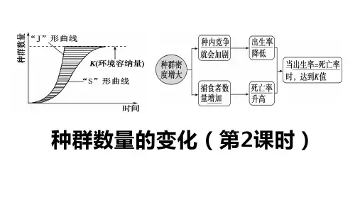 1-2 种群数量的变化(第二课时) 课件 高中生物人教版(2019)选择性必修2