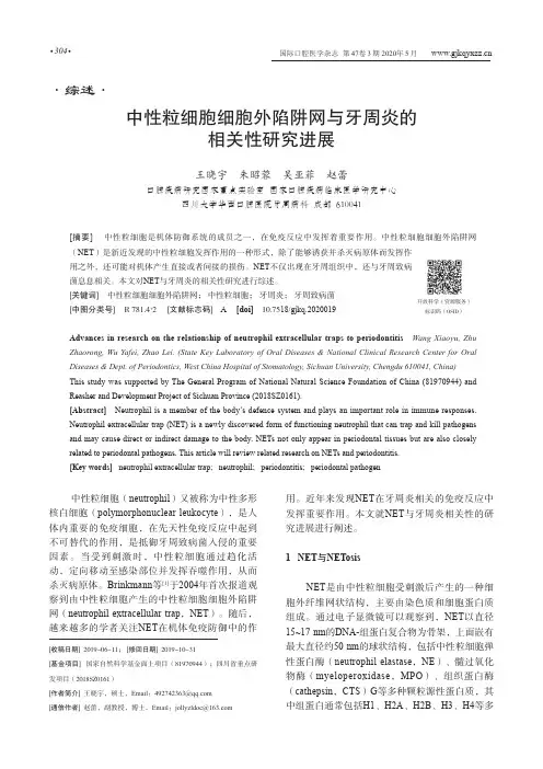 中性粒细胞细胞外陷阱网与牙周炎的相关性研究进展