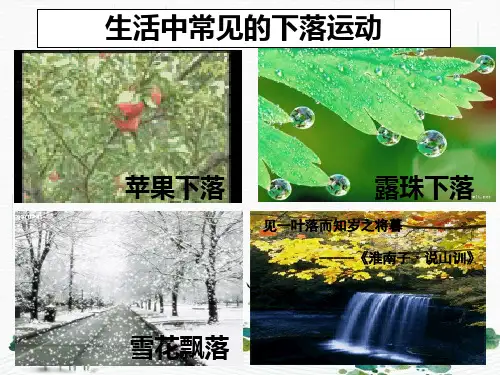 新版人教版高一物理必修1 2.5自由落体运动(共19张PPT)学习PPT