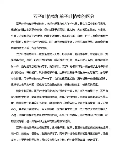 双子叶植物和单子叶植物的区分