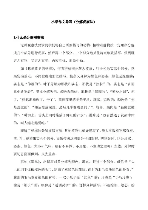 小学作文写作指导--分解观察法