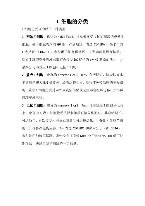 t 细胞的分类