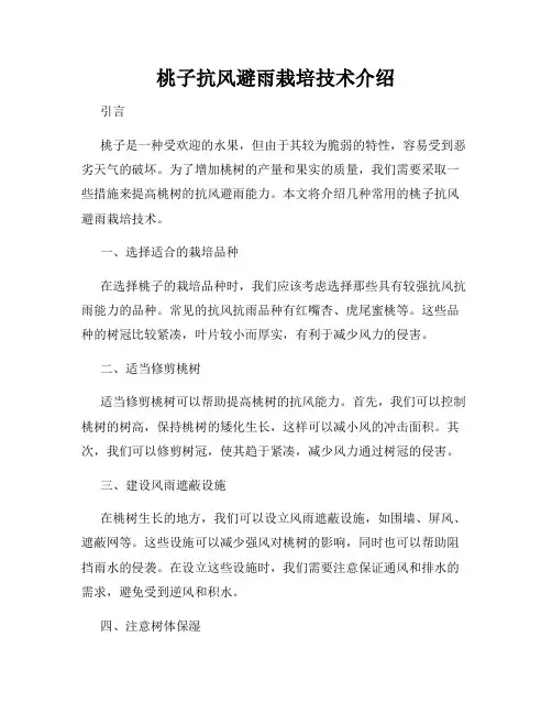 桃子抗风避雨栽培技术介绍