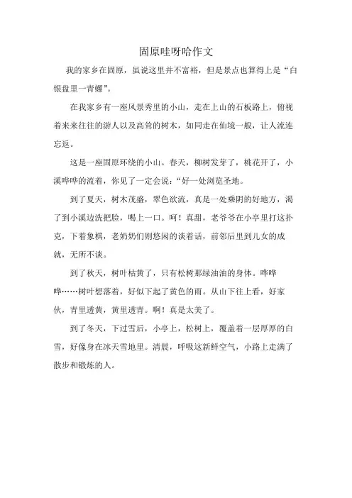 固原哇呀哈作文