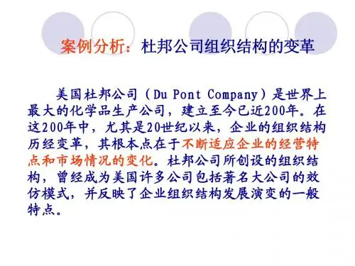 杜邦：组织设计案例分析