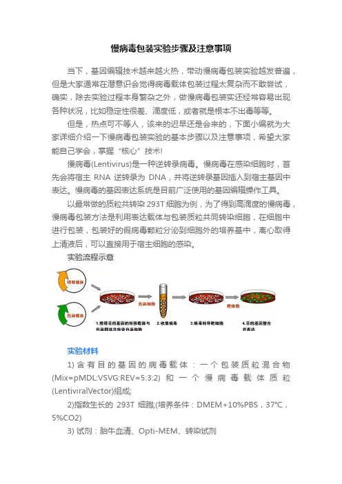 慢病毒包装实验步骤及注意事项