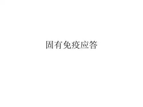 固有免疫应答