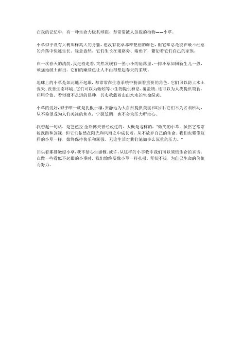 散文《小草》小草