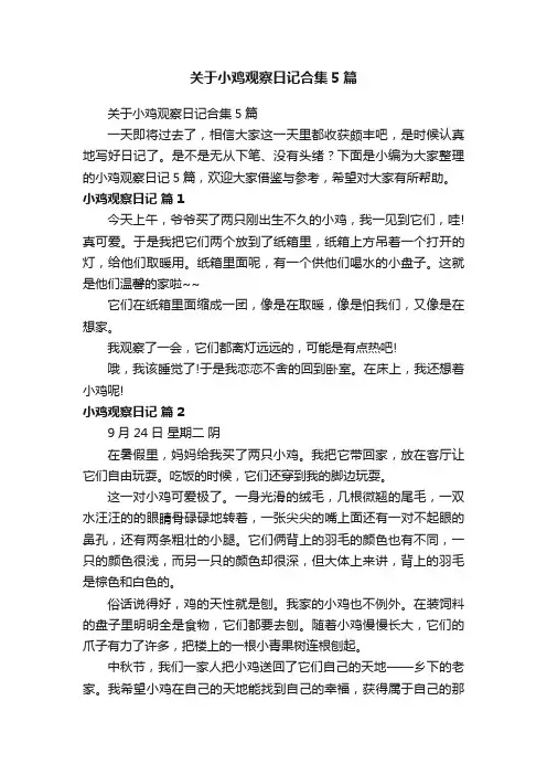 关于小鸡观察日记合集5篇