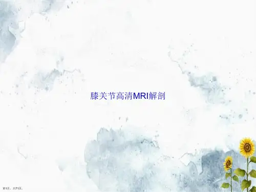 膝关节高清MRI解剖2讲课文档