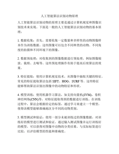 人工智能算法识别动物原理